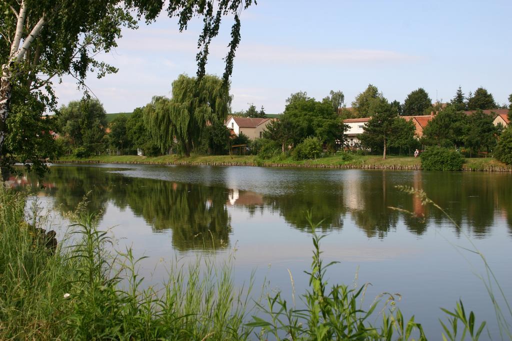 Penzion U Sklepu Hotel Hovorany Bagian luar foto