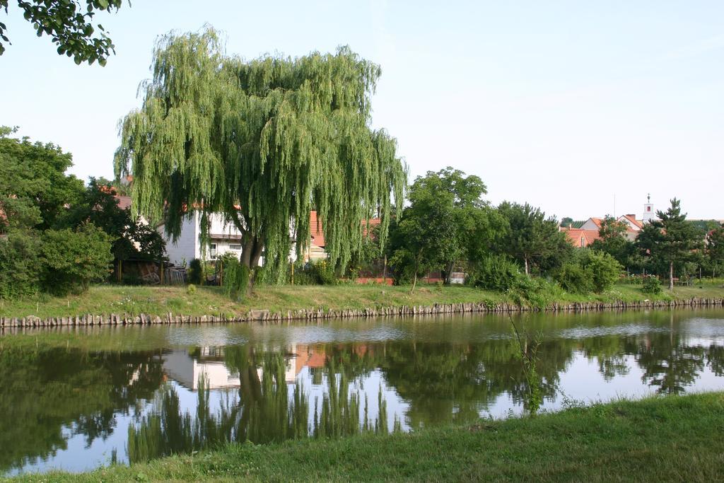 Penzion U Sklepu Hotel Hovorany Bagian luar foto